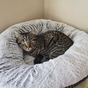 Meet your Posher, Stacey